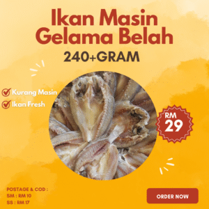 IKAN MASIN GELAMA (240+ GRAM)